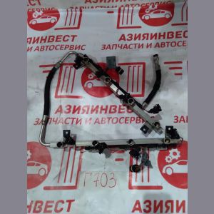 Топливная рейка BMW X5 4.4i E53 N62B44A 6HP26 2004 Г703