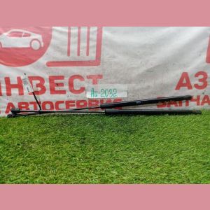 Амортизатор 5-й двери комплект Land Rover Range Rover Evoque L538 224DT TF81SC 2013 AU-2032