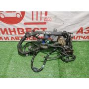 Коса электропроводки ДВС (подкапотная) Honda Domani MA7 D15B S8G 1996 V464