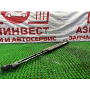 Амортизаторы крышки багажника комплект Nissan Primera WTP12 QR20DE RE0F06A FP54 2003 N682