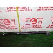 Амортизатор 5-й двери комплект Honda StepWGN RF1 B20B S4XA 1996 N771