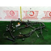 Коса электропроводки ДВС (подкапотная) Nissan Wingroad WFY11 QG15DE RE4F03B FQ40 1999 N831