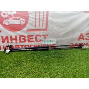 Амортизаторы капота комплект Toyota Camry GSV70 2GR-FKS UA80E -01A 2018 AU-2031