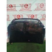 Капот Toyota Rav4 ACA31 2010 KC-0034