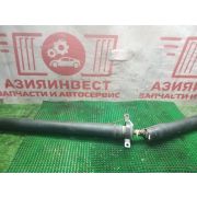 Карданный вал задний Honda Accord Wagon CL2 H23A MCKA 2001 Z37