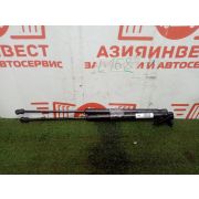 Амортизатор 5-й двери комплект Nissan Murano PNZ51 VQ35DE RE0F09B GE51 2009 L168