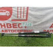 Амортизатор 5-й двери комплект Honda Odyssey RA6 F23A MGPA 2000 Z225