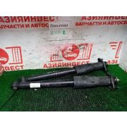 Амортизаторы задние комплект Honda StepWGN RF1 B20B S4XA 1998 Z100