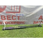Амортизаторы капота комплект Volvo XC90 C_71 D5244T4 TF80-SC 2010 AU-2074