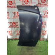 Капот Honda StepWGN RF1 B20B SKNA 2001 Z289