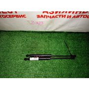 Амортизаторы капота комплект BMW 528i E39 M52B28 A5S 300J - TH 1999 Z323