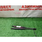 Амортизаторы капота комплект BMW 318i E46 N46B20A A5S 390R - YR 2005 Z355