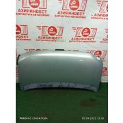 Капот Honda StepWGN RF3 K20A MSWA 2003 Z373