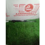 Амортизатор 5-й двери комплект Toyota Corolla Runx ZZE122 1ZZ-FE U341E -12A 2005 AU-2169