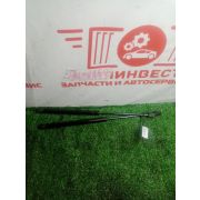 Амортизатор 5-й двери комплект Ford Focus DAW EDDF 4F27E 2004 AU-2154