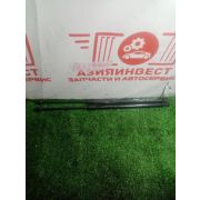Амортизатор 5-й двери комплект Hyundai H-1 TQ D4CB 2017 AU-2176