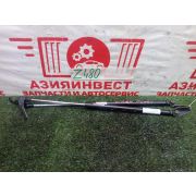 Амортизатор 5-й двери комплект Toyota Ist NCP61 1NZ-FE U340E -02A 2002 Z480