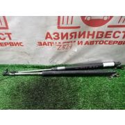 Амортизатор 5-й двери комплект Honda Odyssey RA9 J30A MGVA 2002 Z521