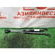 Амортизатор 5-й двери комплект Honda Fit GD1 L13A SWRA 2007 Z546
